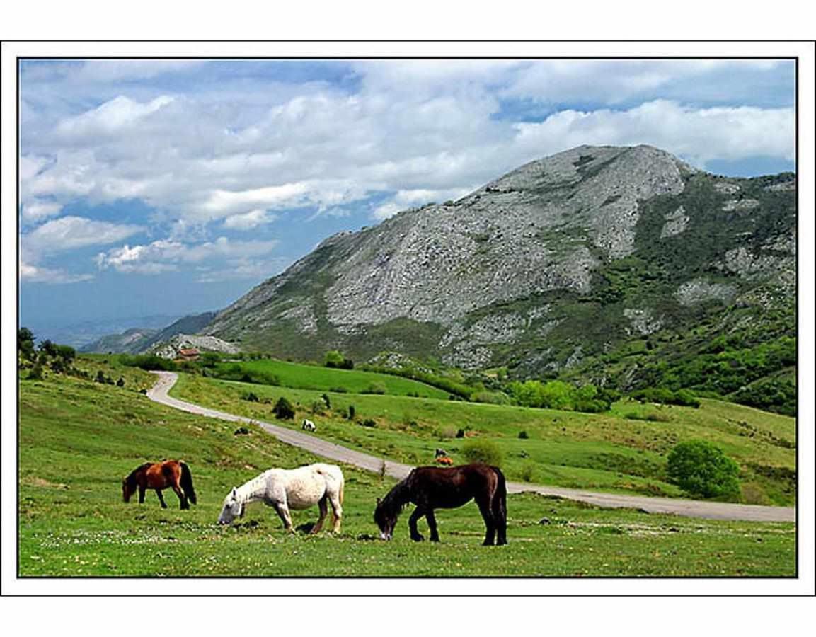 Casa Rural La Carrozal Senda Del Oso Орельейру Экстерьер фото